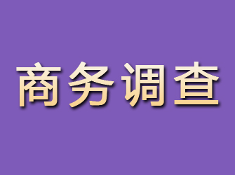 攸县商务调查